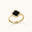Black Onyx