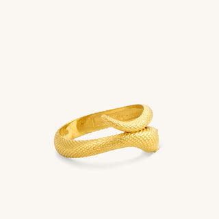 Snake Ring