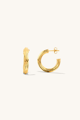 Twisted C Hoop Gold Earrings