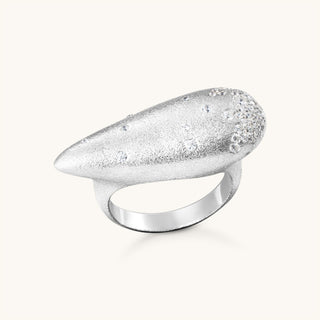 0017RG silver 2000x2000px.jpg